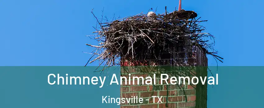  Chimney Animal Removal Kingsville - TX