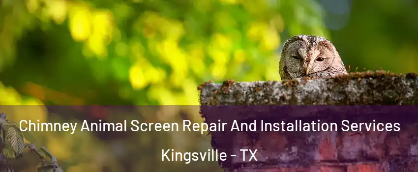  Chimney Animal Screen Repair And Installation Services Kingsville - TX