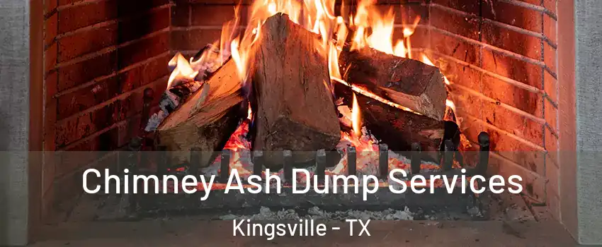  Chimney Ash Dump Services Kingsville - TX