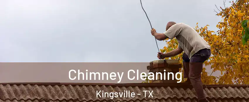  Chimney Cleaning Kingsville - TX