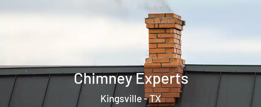  Chimney Experts Kingsville - TX