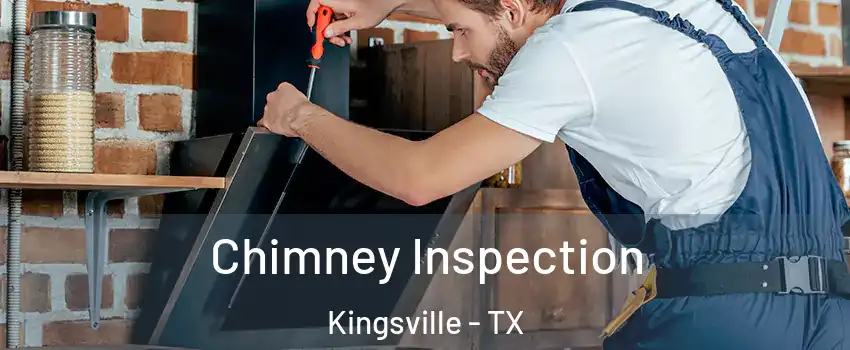  Chimney Inspection Kingsville - TX