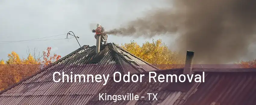 Chimney Odor Removal Kingsville - TX