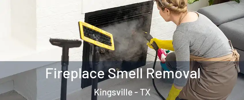  Fireplace Smell Removal Kingsville - TX