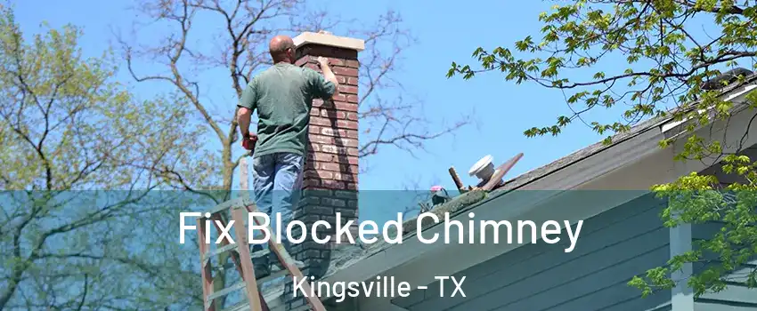  Fix Blocked Chimney Kingsville - TX