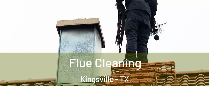  Flue Cleaning Kingsville - TX