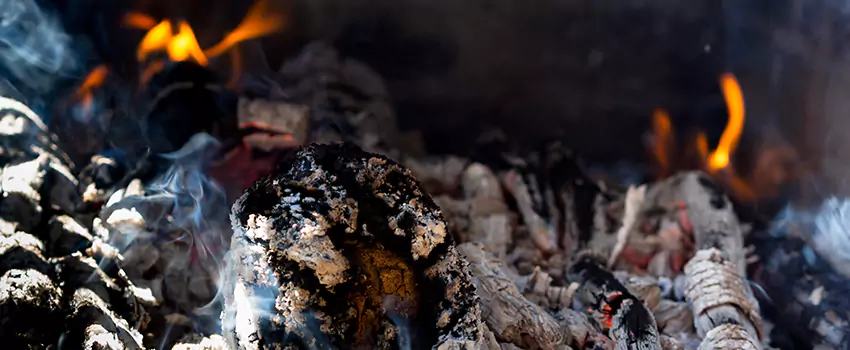 Creosote Removal Experts in Kingsville, TX