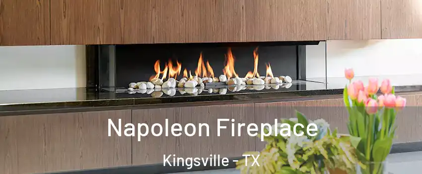  Napoleon Fireplace Kingsville - TX
