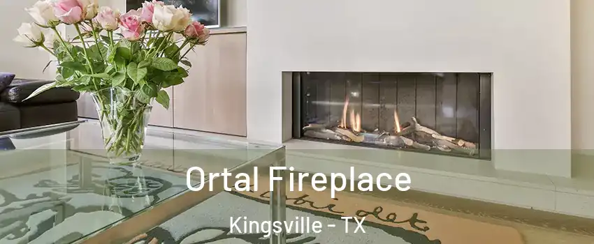  Ortal Fireplace Kingsville - TX